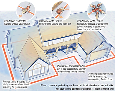 - A chemical termite barrier involves applying a liquid chemical to the soil, either under concrete flooring and/or around the entire perimeter of your building’s foundations. Our Termite Control Technicians are trained to take care of your home or business, working with you to create an effective barrier with the minimum disruption to your premises and its surroundings.	