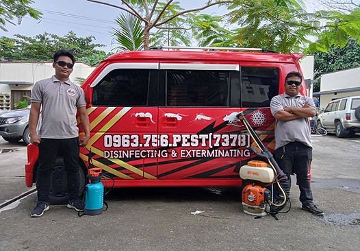 termite-experts-in-cebu